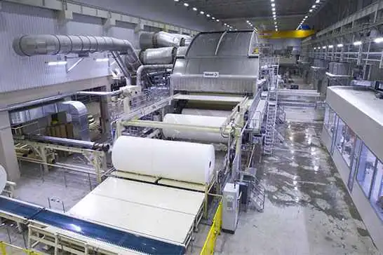Paper & Pulp Industry